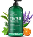 Botanic Hearth Tea Tree Shampoo for Dry & Itchy Scalp, Soothing & Hydrating Cleanser with Natural Tea Tree Oil, Sulfate & Paraben Free, For Men & Women, 16 fl oz 🍁 All In One Marketplace Canada