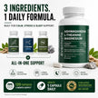 ALL-IN-ONE Ashwagandha 6000mg with L-Theanine 200mg & Magnesium Bisglycinate Chelated – Stress, Sleep, Mood, Calm & Relaxation Support – Non-GMO Vegan – 120 Capsules, 4 Month Supply – 1 Capsule Daily – Made in Canada 🍁 All In One Marketplace Canada