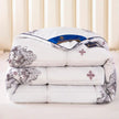 Downfull Spring And Autumn Winter Duvet Thickened Velvet Quilt Comforter
