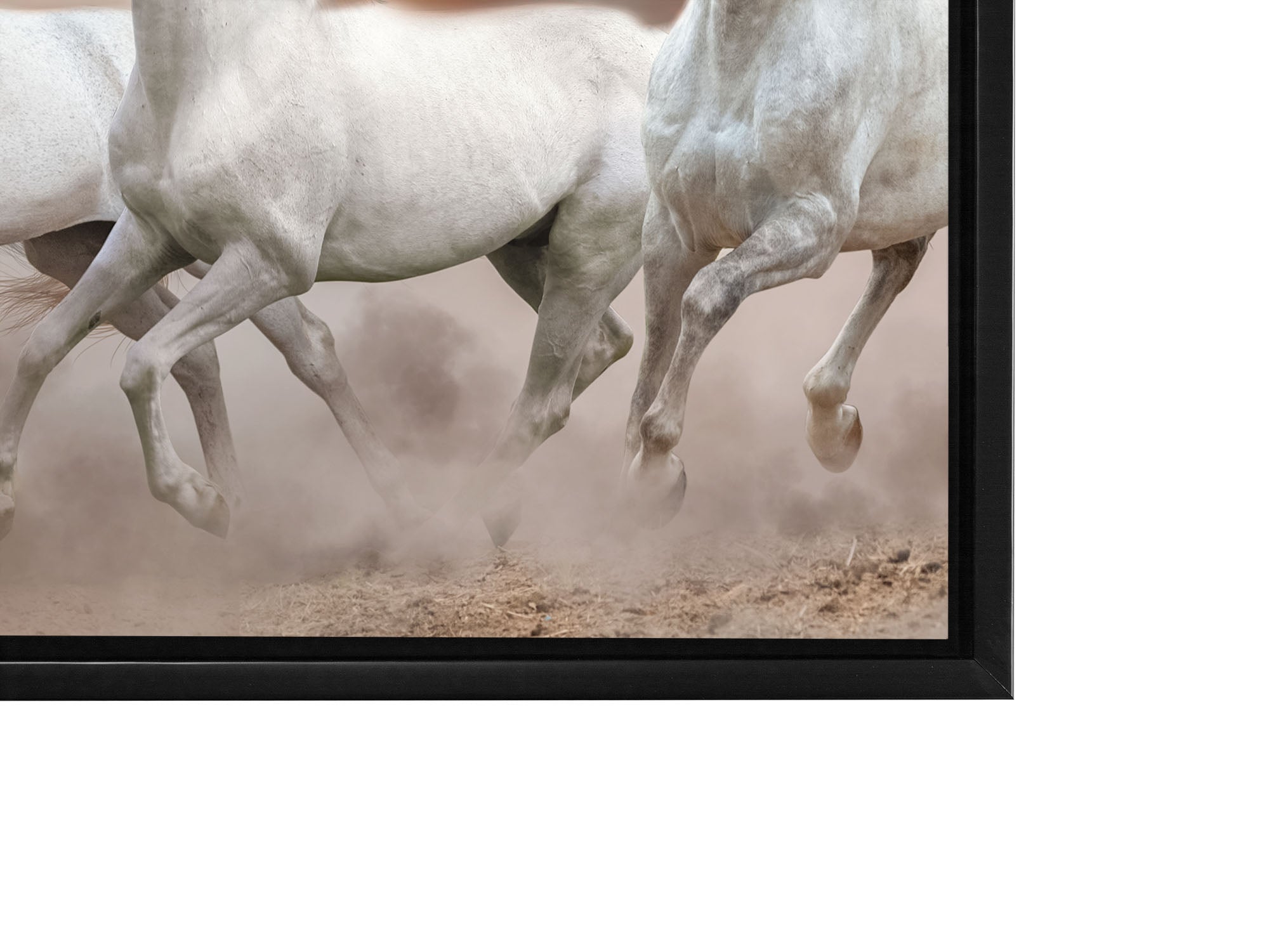 Toile représentant des chevaux arabes devant un ciel blanc - Art mural