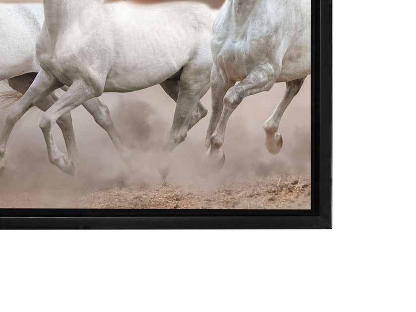 Toile représentant des chevaux arabes devant un ciel blanc - Art mural