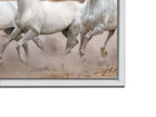 Toile représentant des chevaux arabes devant un ciel blanc - Art mural
