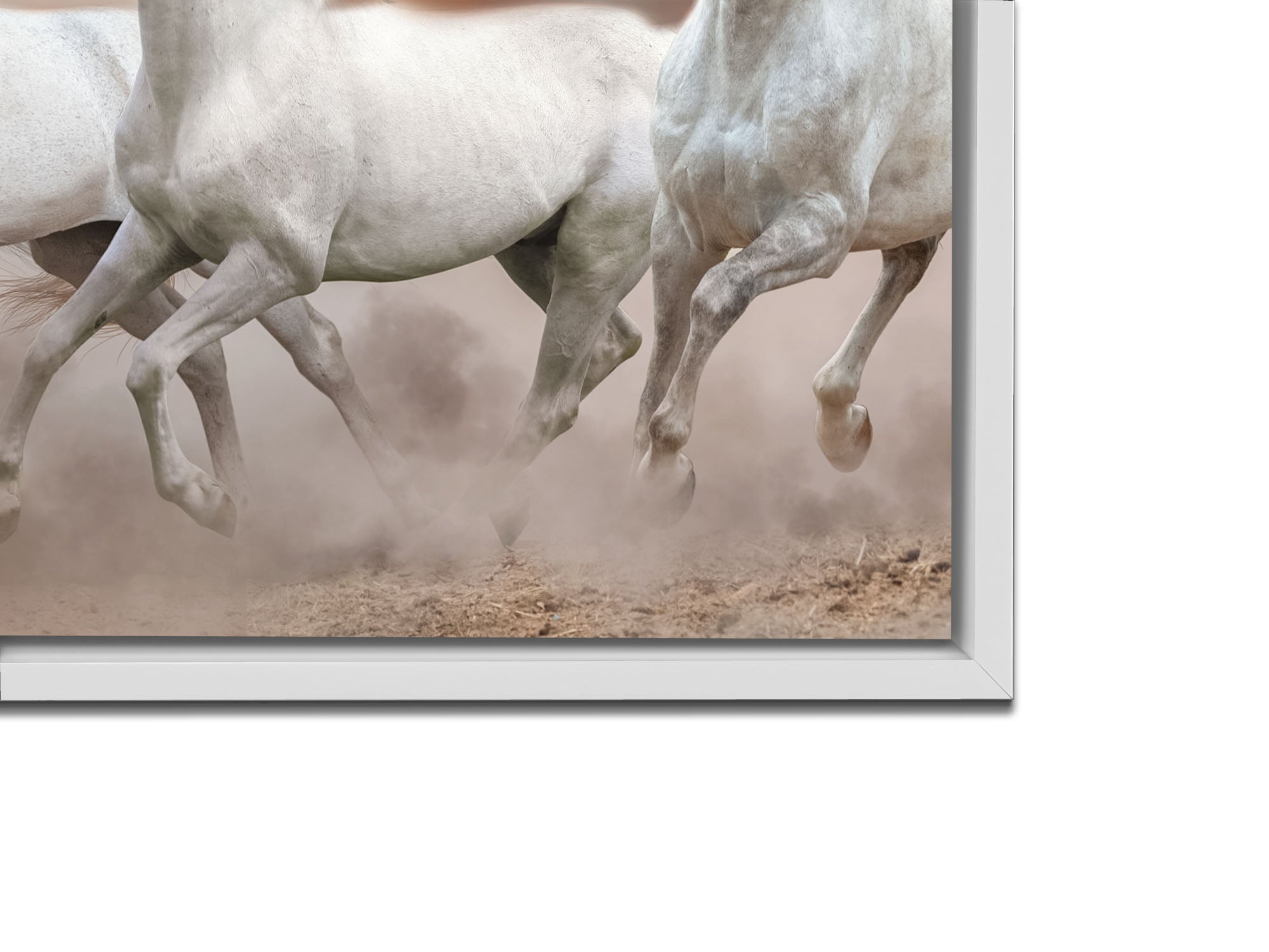 Toile représentant des chevaux arabes devant un ciel blanc - Art mural