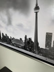 Toronto et la tour CN en noir et blanc - Cities Skyline