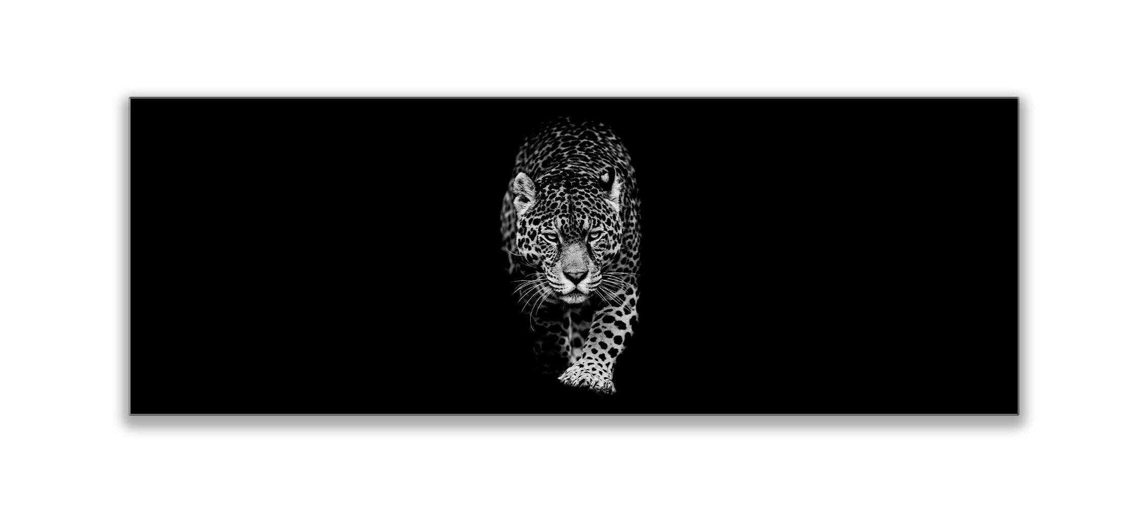Léopard en noir et blanc 183 cm x 61 cm