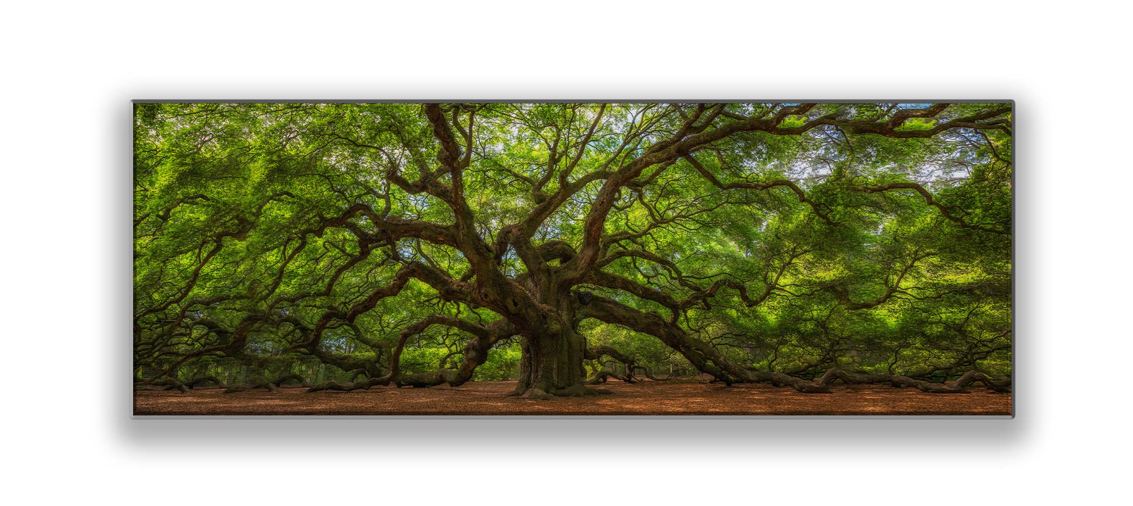 Wall Art Angel Tree 72