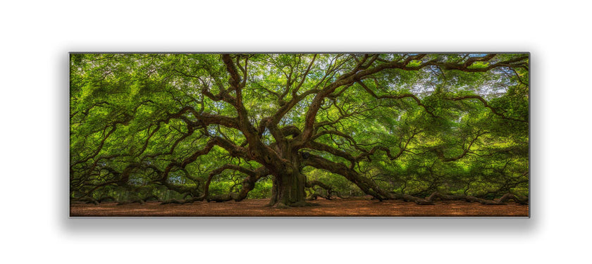 Wall Art Angel Tree 72