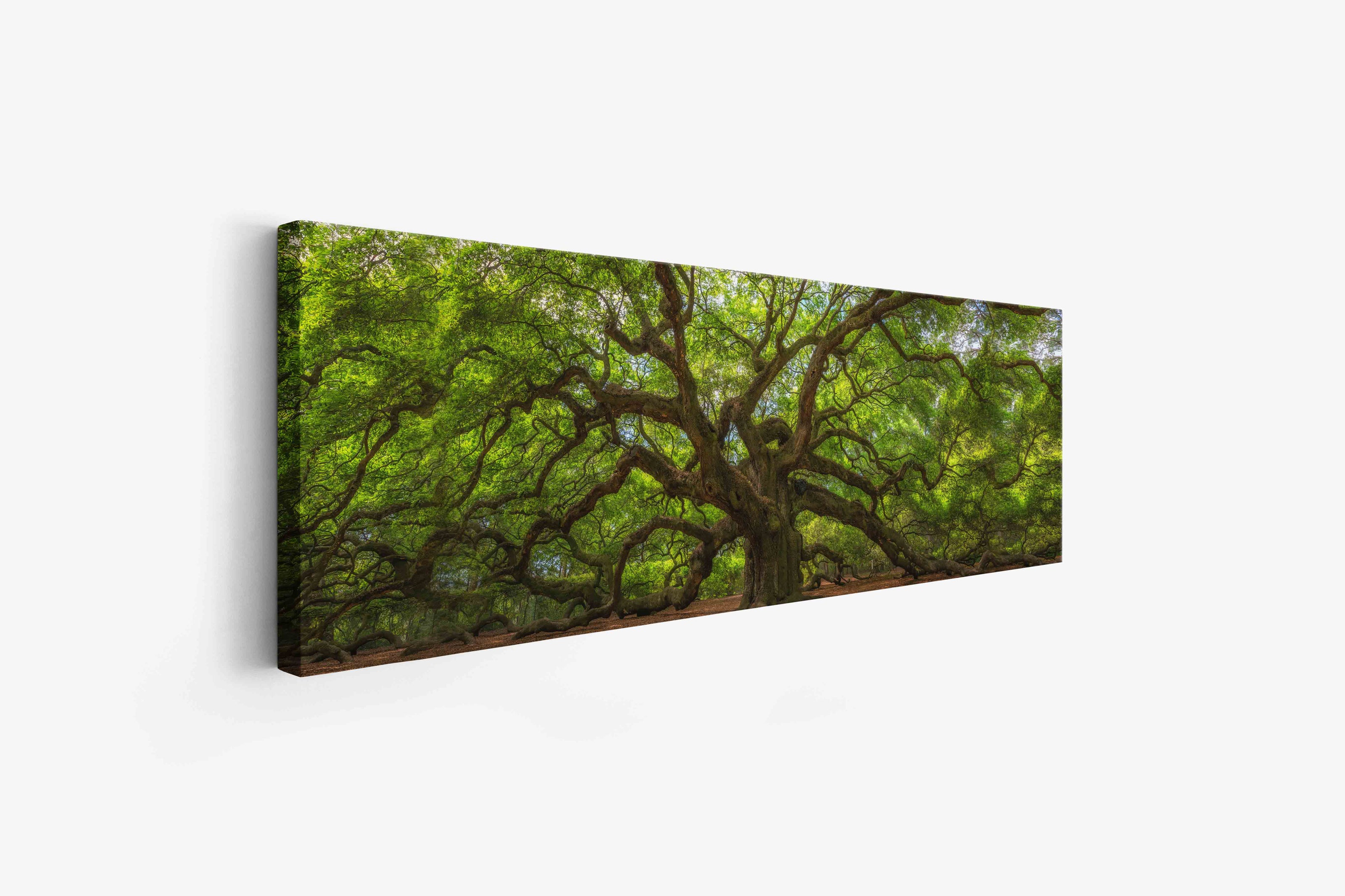 Wall Art Angel Tree 72