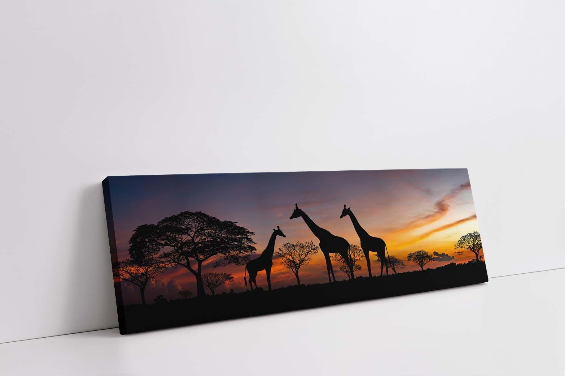 Serengeti 72