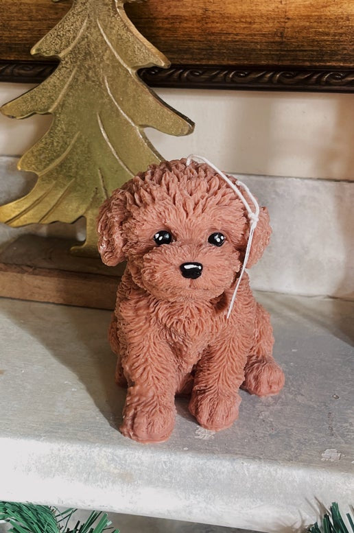 Puppy