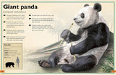 Insight Editions - The Magnificent Book of Animals