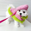 Plaid Harness Set | Dog Harness Leash and Hat Set