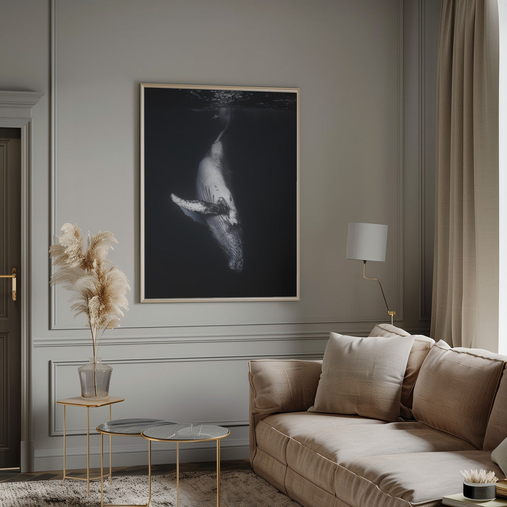 Wall Art - Baleine noire