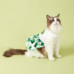 It’s Your Lucky Day Dress – Saint Patrick’s Day Dog Dress