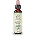 Bach - Centaury (20ml)