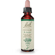 Bach - Centaury (20ml)