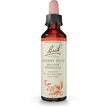 Bach - Cherry Plum (20ml)
