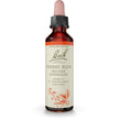 Bach - Cherry Plum (20ml)