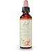 Bach - Cherry Plum (20ml)