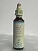 Bach - Chicory (20ml)