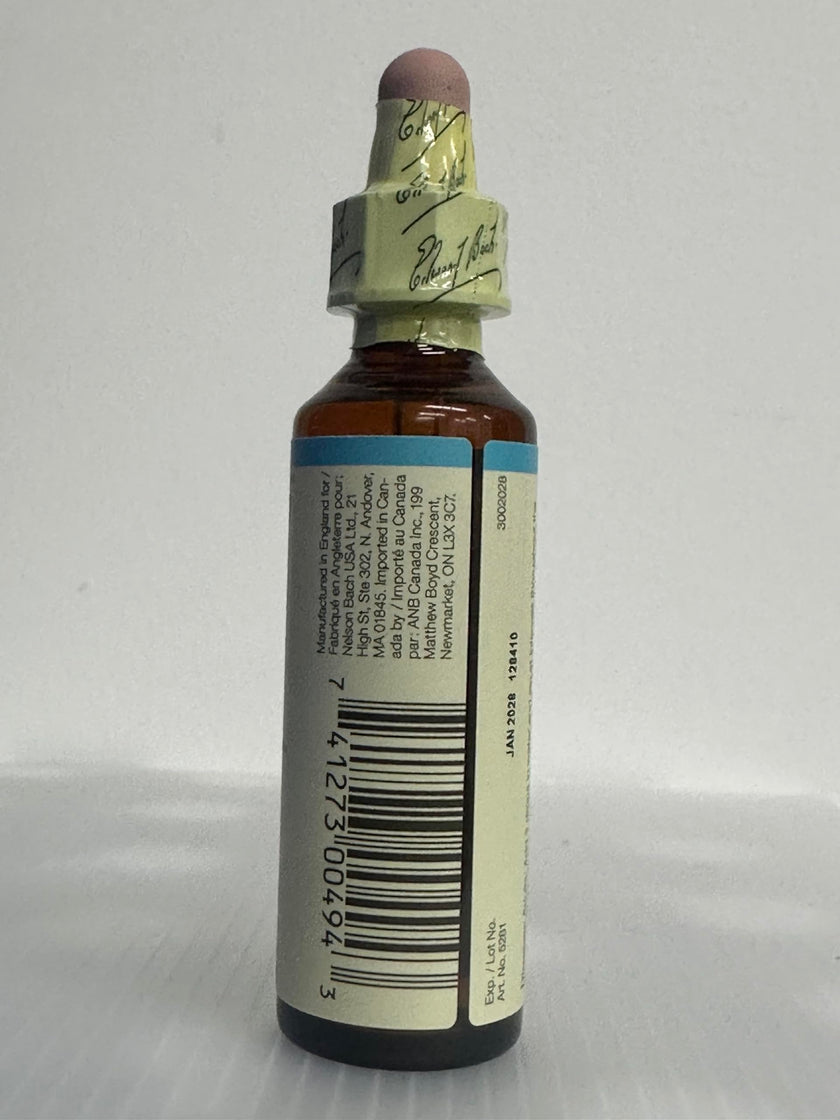 Bach - Chicory (20ml)