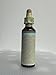Bach - Chicory (20ml)