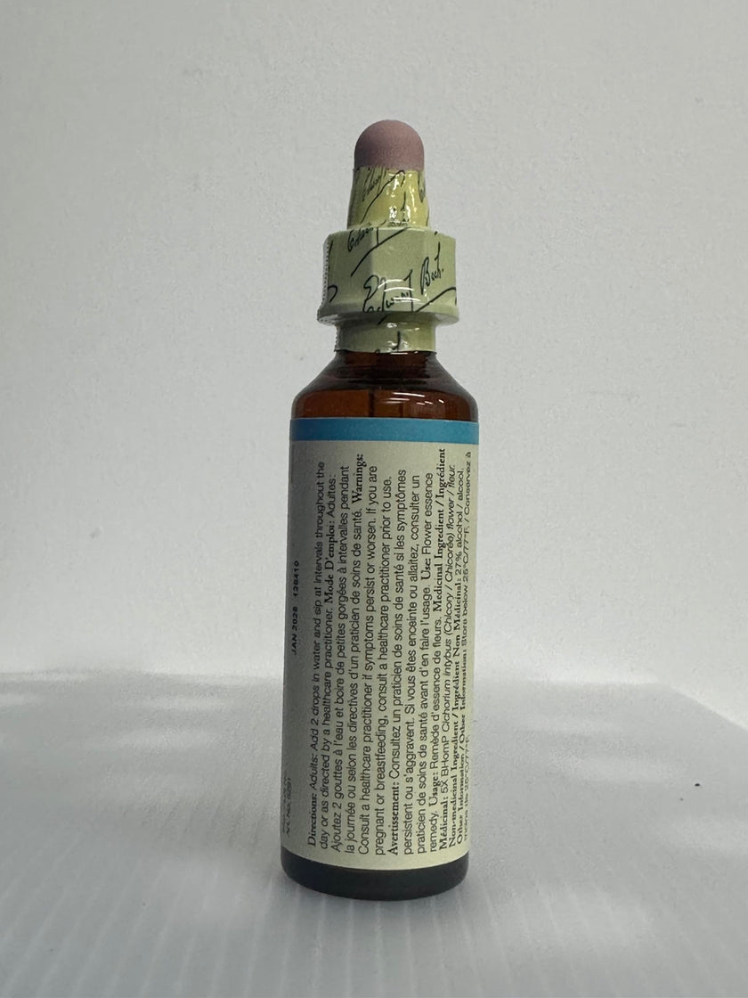 Bach - Chicory (20ml)