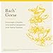Bach - Gorse (20ml)