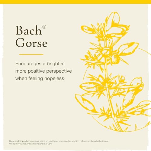 Bach - Gorse (20ml)