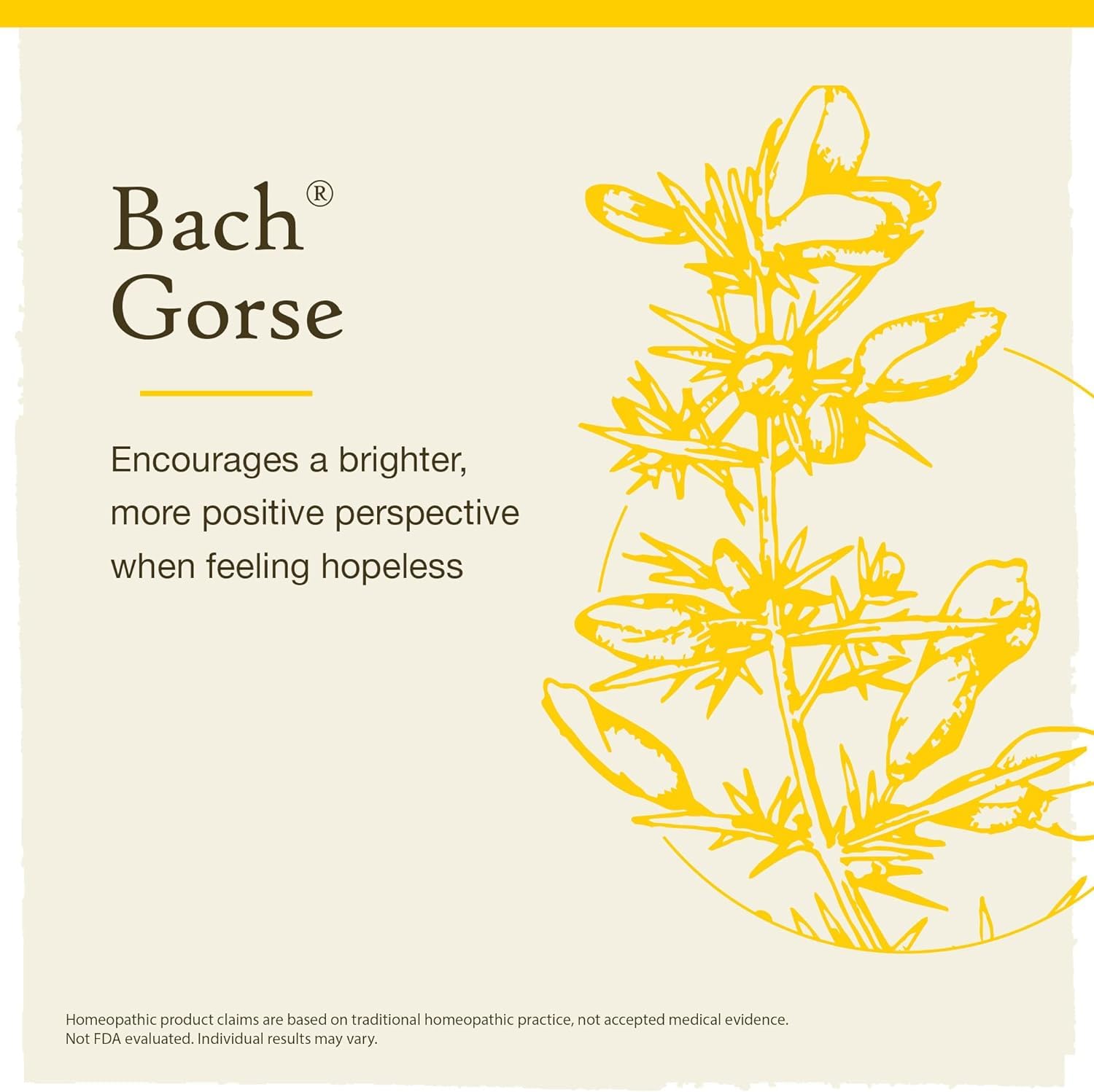 Bach - Gorse (20ml)