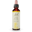 Bach - Gorse (20ml)