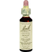 Bach - Holly (20ml)