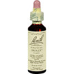 Bach - Holly (20ml)