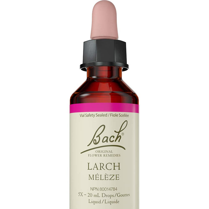 Bach - Larch (20ml)
