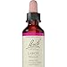 Bach - Larch (20ml)