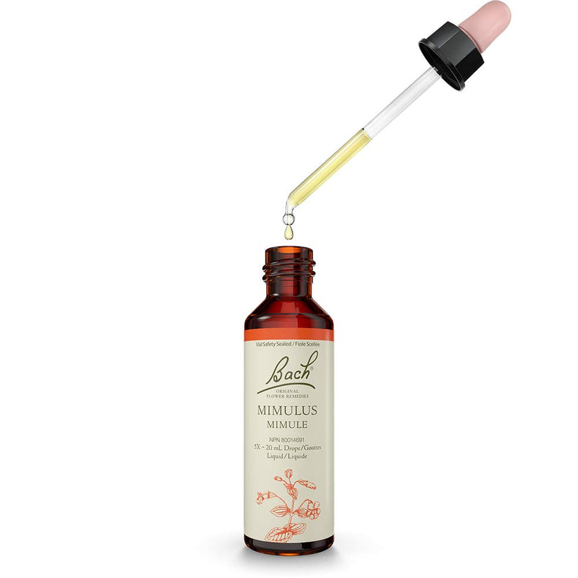 Bach - Mimulu (20ml)