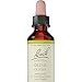 Bach - Olive (20ml)