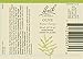 Bach - Olive (20ml)