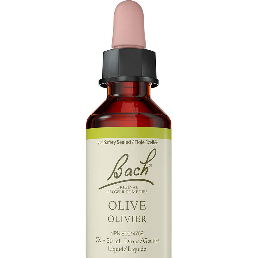 Bach - Olive (20ml)
