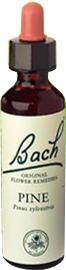 Bach - Pine (20ml)