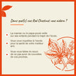 Bach - Red Chestnut (20ml)