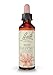 Bach - Red Chestnut (20ml)