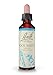 Bach - Rock Water (20ml)