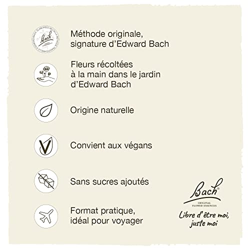 Bach - Rock Water (20ml)