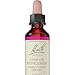 Bach - Star of Bethlehem (20ml)