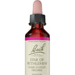 Bach - Star of Bethlehem (20ml)