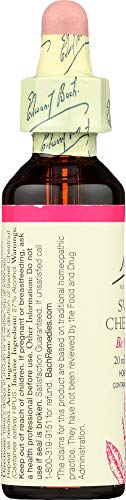 Bach - Sweet Chestnut (20ml)