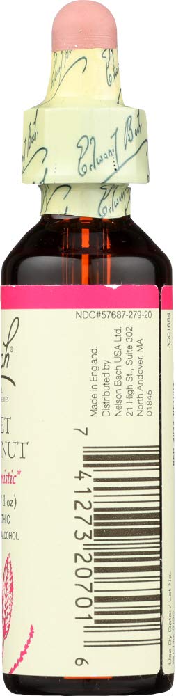 Bach - Sweet Chestnut (20ml)