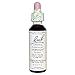 Bach - Vervain (20ml)