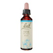 Bach - Vine (20ml)